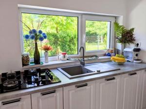 Hill House Valiug Crivaia