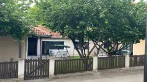 Old Fashion Guest House - 索科矿泉村