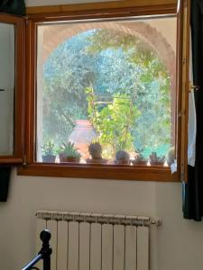 Azienda Agricola Polveraia