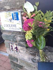 Appartements Appartement Oceane : Appartement - Rez-de-Chaussée