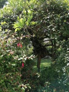 Appartements RESSOURCEMENT EN BRETAGNE : photos des chambres