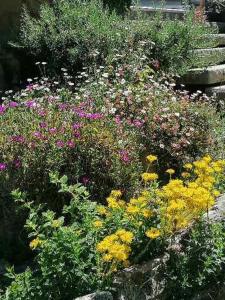 Appartements RESSOURCEMENT EN BRETAGNE : photos des chambres