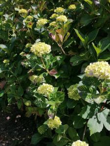 Appartements RESSOURCEMENT EN BRETAGNE : photos des chambres