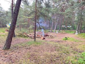 Your Camp Kormoran