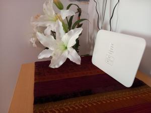 Feher Barany Apartment