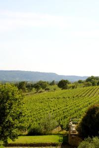 Hotels Vilajoun : photos des chambres
