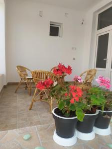 Apartman LEO