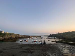 Maisons de vacances Face a l'ocean, Bretagne authentique a Pors-Poulhan : photos des chambres