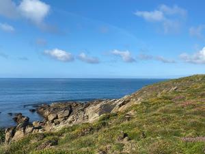 Maisons de vacances Face a l'ocean, Bretagne authentique a Pors-Poulhan : photos des chambres