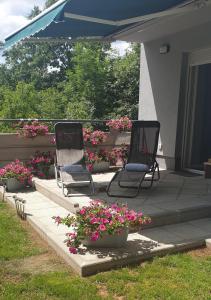 Birdsong Getaway a peaceful, pet-friendly base for exploring