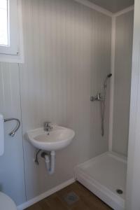 Robinson olive tree huts