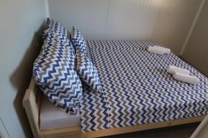 Robinson olive tree huts