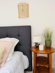 "Les Oiseaux" avec terrasse, parking, duplex