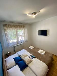 Zlatibor apartman Pahuljica