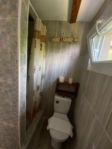 Casutele verzi din Ocnele Mari