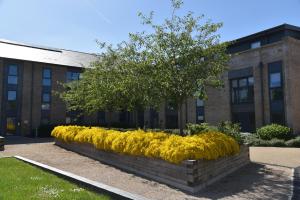 FANTASTIC 2 Dbl Bedroom Apt. FREE off-road parking