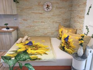 Apartmán Slunečnice s terasou