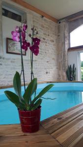 Fermes Un tonneau a la belle etoile : photos des chambres