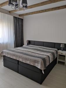 Patak28 Apartmanok