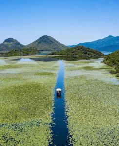 Apartman Jovicevic Pavle