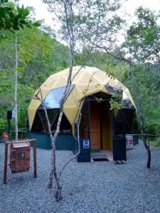 Cuyinco Domos - Riñinahue