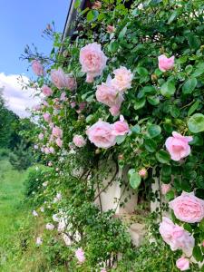 Maison chaleureuse à Vaucluse avec jardin spacieux 84 m²