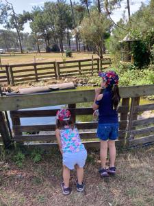 Campings Mobil home Happiness33 dans camping 5 etoiles acces direct plage Vendays Montalivet : photos des chambres