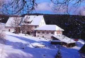 Pension Löffelschmiede - Glashütte
