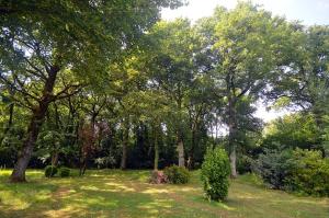 B&B / Chambres d'hotes Le pied du chene : photos des chambres