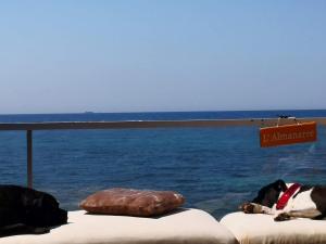 B&B / Chambres d'hotes Stella Maris : photos des chambres