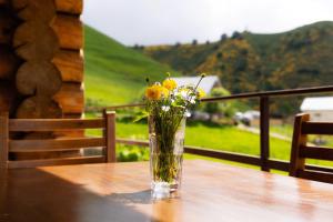 Snow Time Eco Chalet