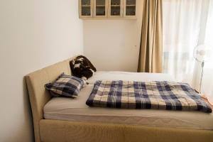 Panorama apartmán 44-C