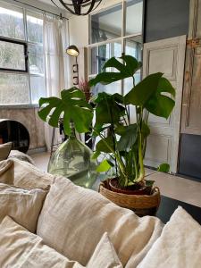 Appartements Un Autre Monde : photos des chambres
