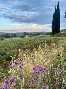 Villas Bastide avec piscine aux Arcs entre Saint-Tropez et Verdon : photos des chambres