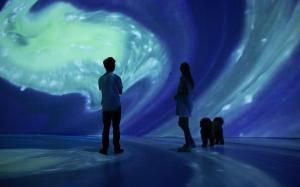 Hotel La Casa de los Árboles Immersive Experience