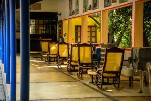 Hotel La Casa de los Árboles Immersive Experience