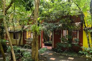 Hotel La Casa de los Árboles Immersive Experience
