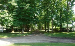 Hotels Chateau d'Island Vezelay : photos des chambres