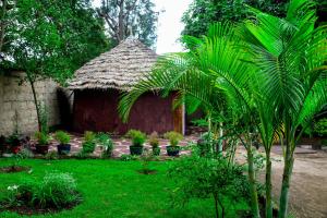 Charming Eco-Homestay near Kilimanjaro International Airport