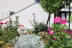 Apartments Brusic Ana