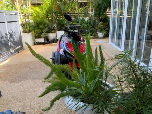 Puntakana Apartelle Deluxe Apartment Panglao