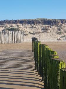 Maisons de vacances Au gite d'oye - Gite neuf proche de la plage : photos des chambres