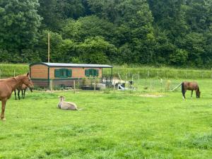 La roulotte de bonneval