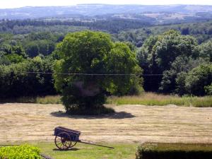 Maisons de vacances Charming typical Auvergne cottage with large garden and view of the countryside : photos des chambres