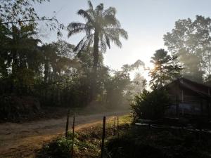 Suan Bang Bon Guest House