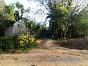 Suan Bang Bon Guest House