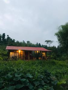 PaliGhar Farmstay