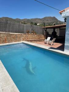 Casa Rural Los Caballos Finca Canca Alora Caminito del Rey