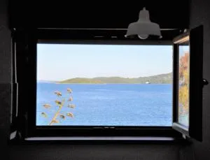 Romantic Boxavia - Dragove