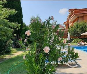 Family Hotel Magnolia, Sunny Beach